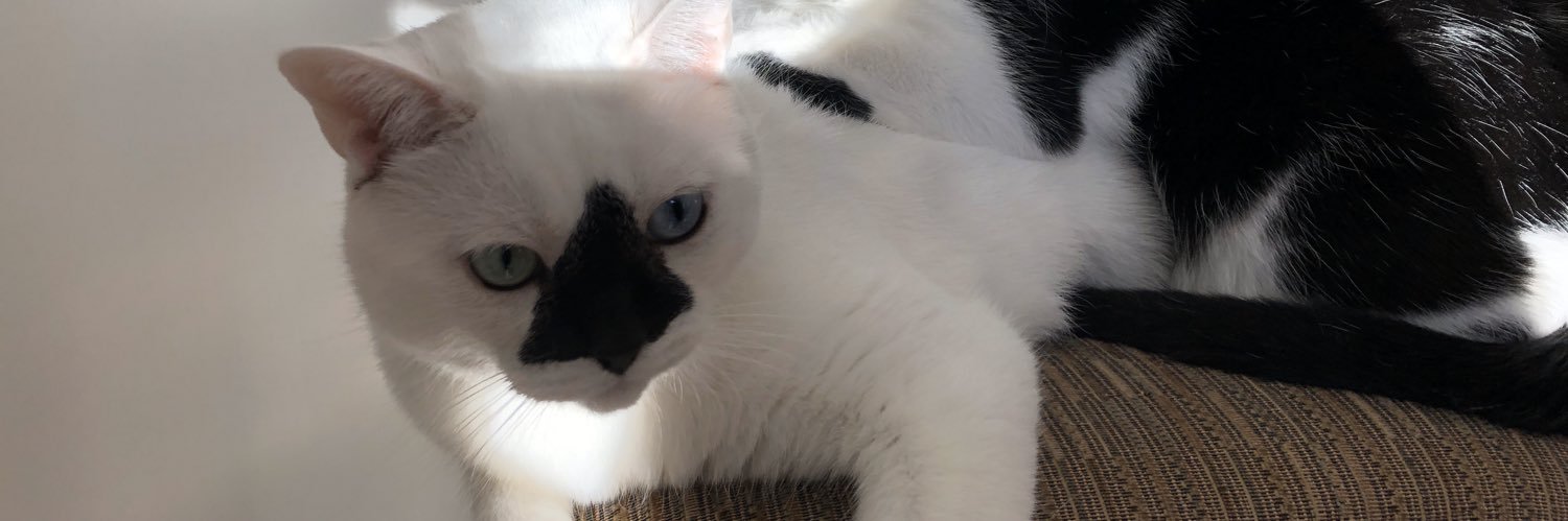 Alex Craig M.Ed banner