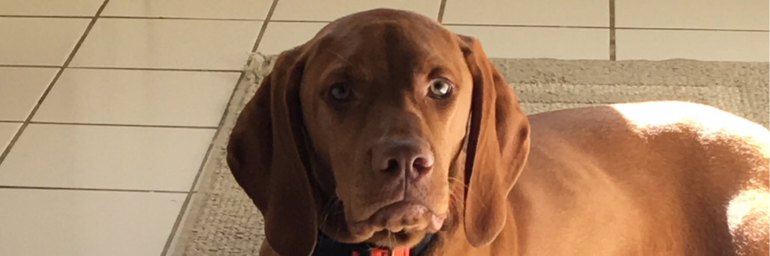 Iamthatguypman banner