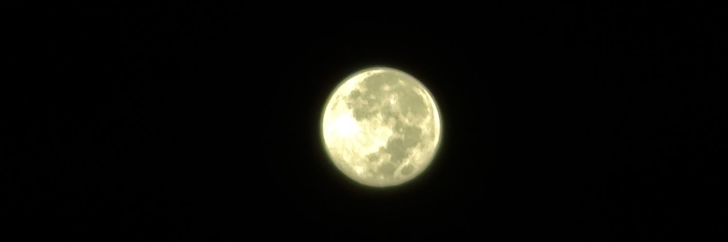 Monnito_'s profile banner image