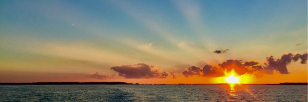 ShezaBrick Profile Banner