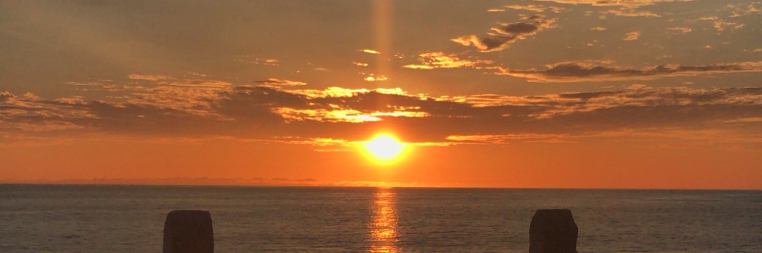 LydaZ's profile banner image