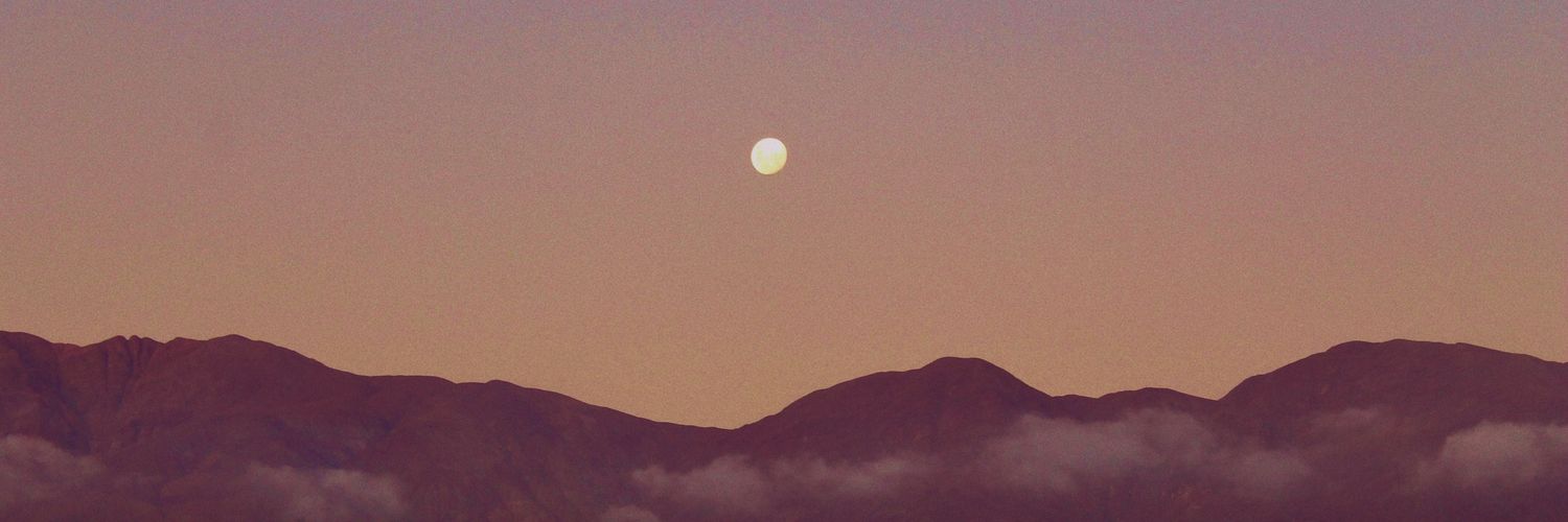 BerniCamus's profile banner image