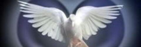 HeyddyS's profile banner image