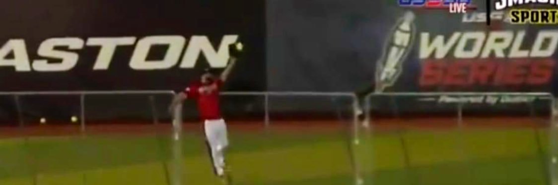 Chris Dobbins banner