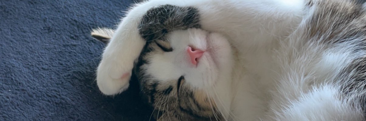 justinegrd__'s profile banner image