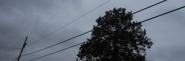 a_quiet_path Profile Banner