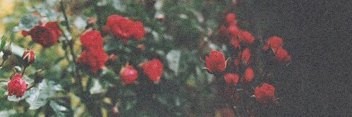 ☾ banner