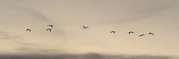 Fede200__ Profile Banner