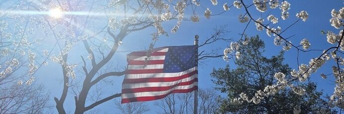 BobSteiner1's profile banner image
