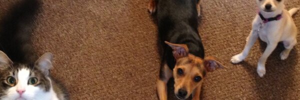 Charlie__Anne Profile Banner