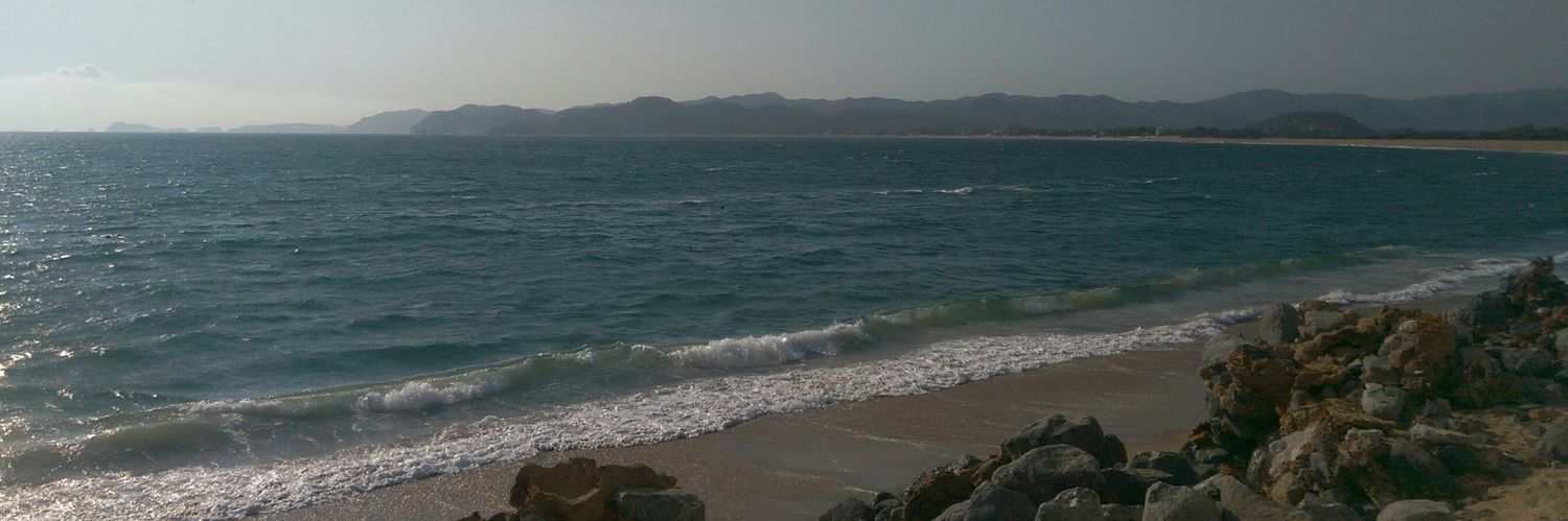 HECOP's profile banner image