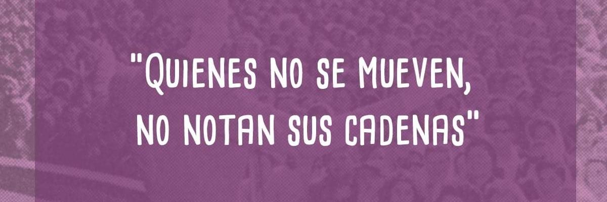 Laura Díaz 🔻🇵🇸🕊️ banner