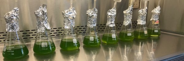 PhycoPatrick Profile Banner