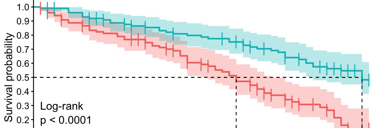 Felipe Cardemil banner