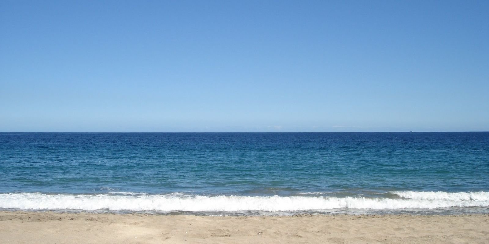 autotelico's profile banner image
