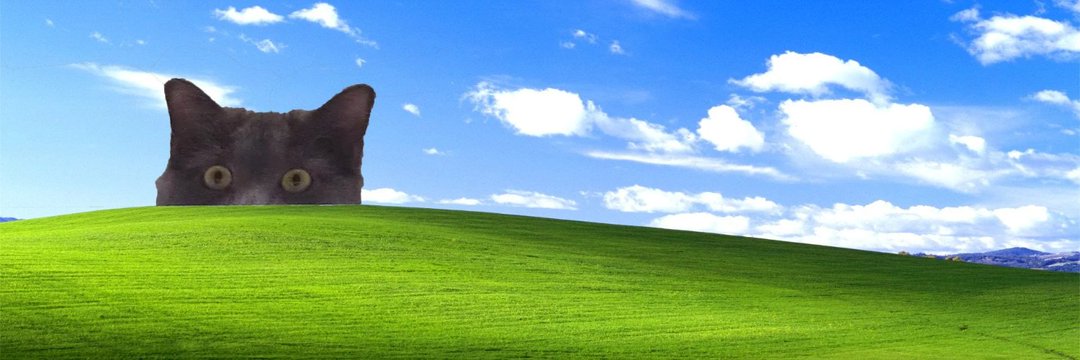 NilQuəst ⚡ banner