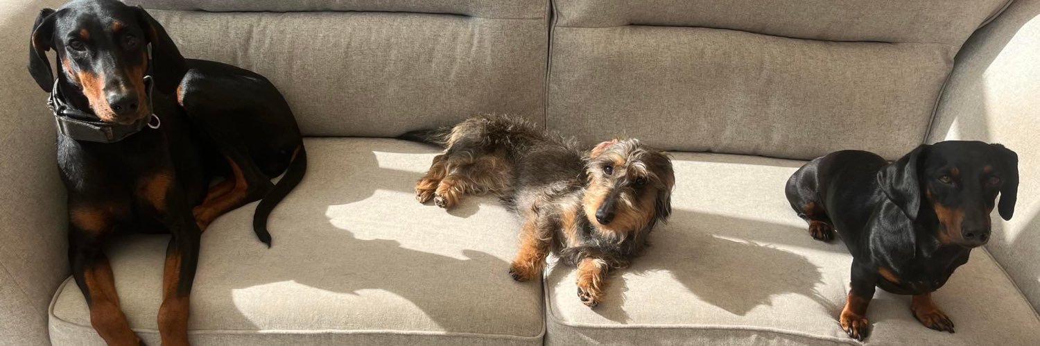 Adam Bramhald banner