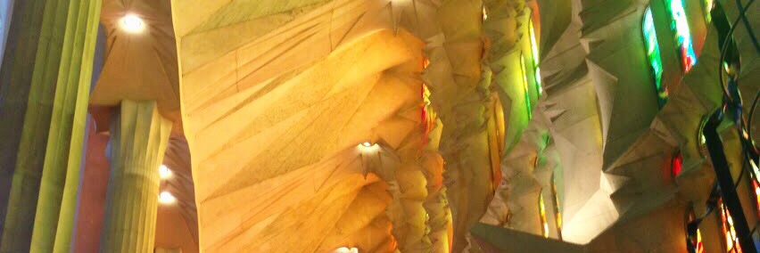 conchetumabe's profile banner image