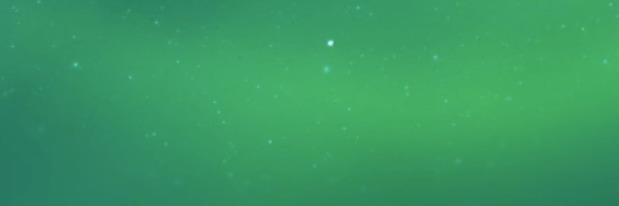 🌐 banner