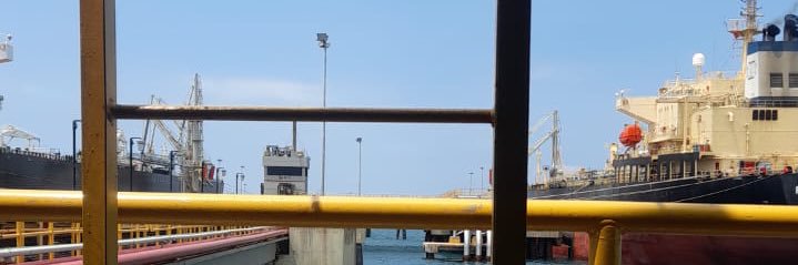 PedroShang's profile banner image