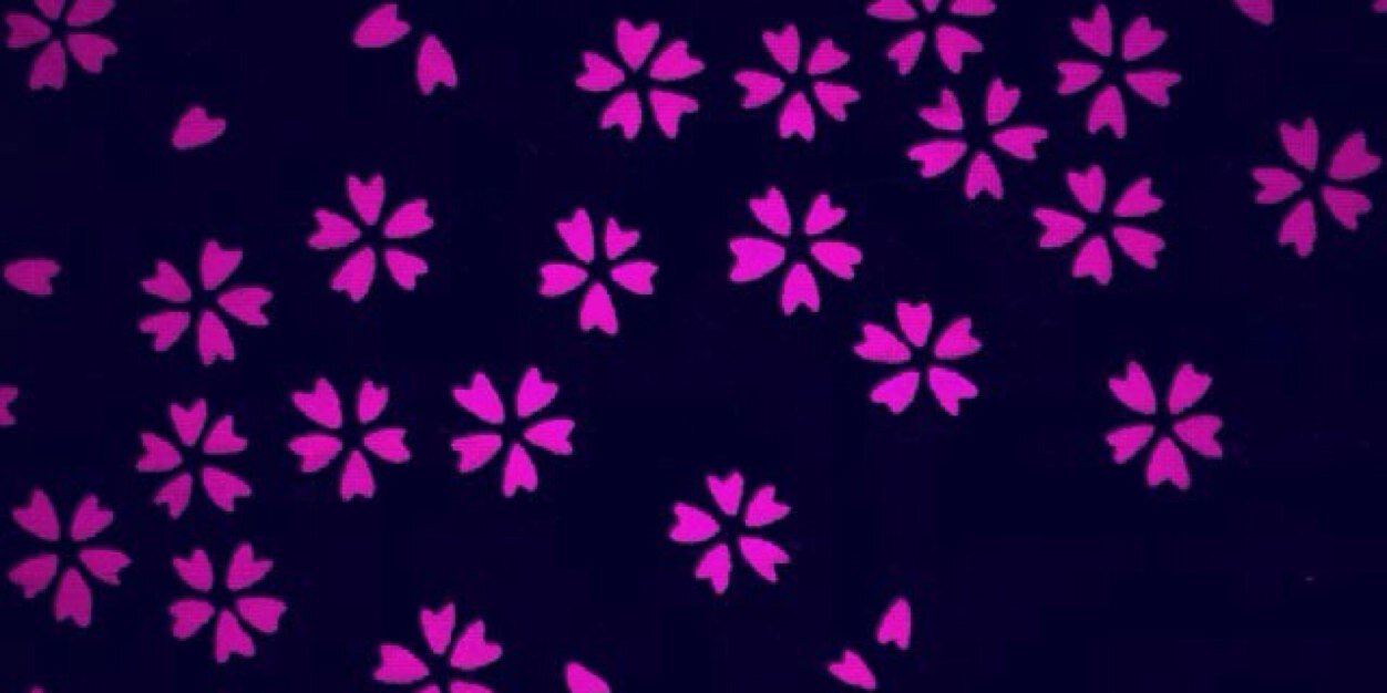 Anitriptilina's profile banner image
