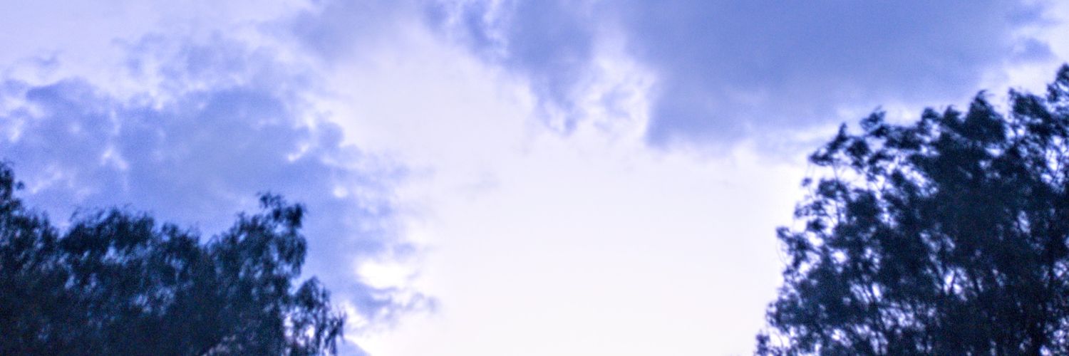 Shpiani's profile banner image