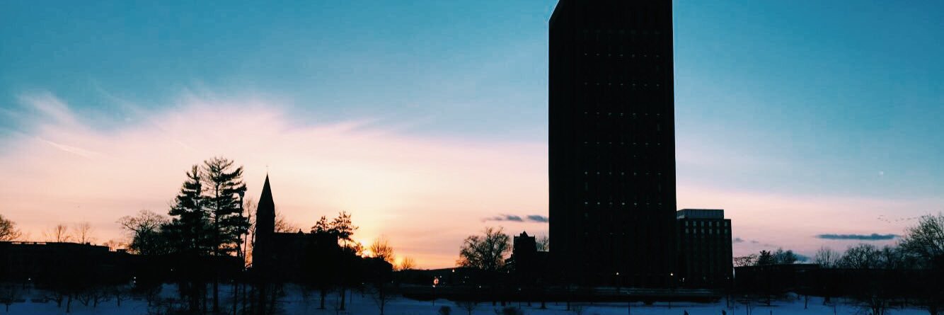 shannonmurphy07's profile banner image