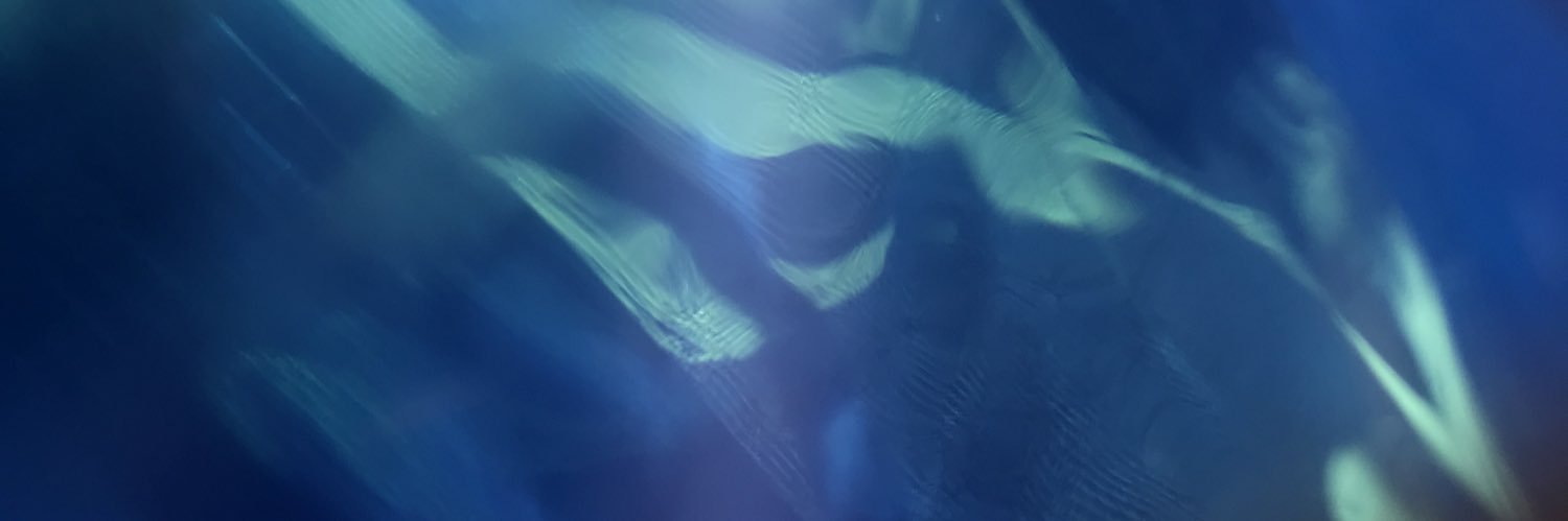 NinoRubio's profile banner image