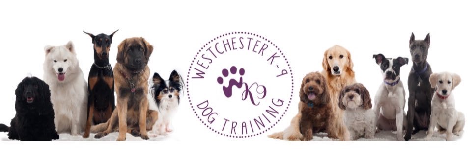Stacy_hirsch's profile banner image