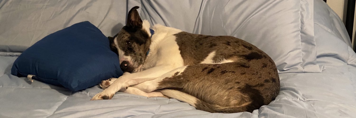 Lisa Caulfield banner