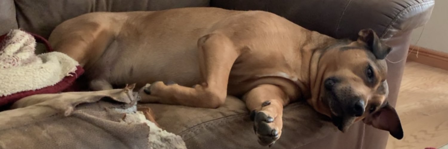 SaulMira17's profile banner image