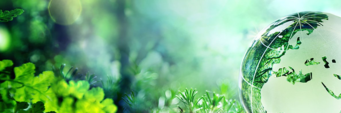 m_filliol's profile banner image