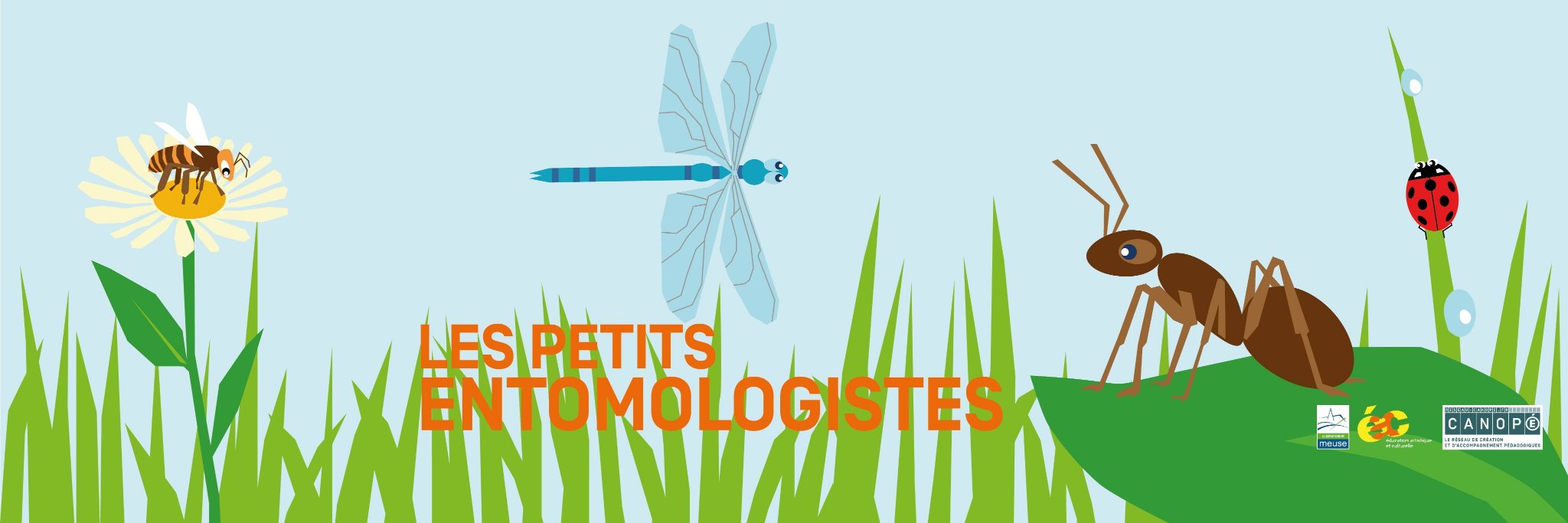 entomologistes's profile banner image