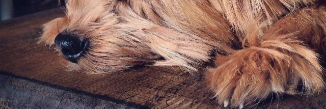 feather_loops's profile banner image