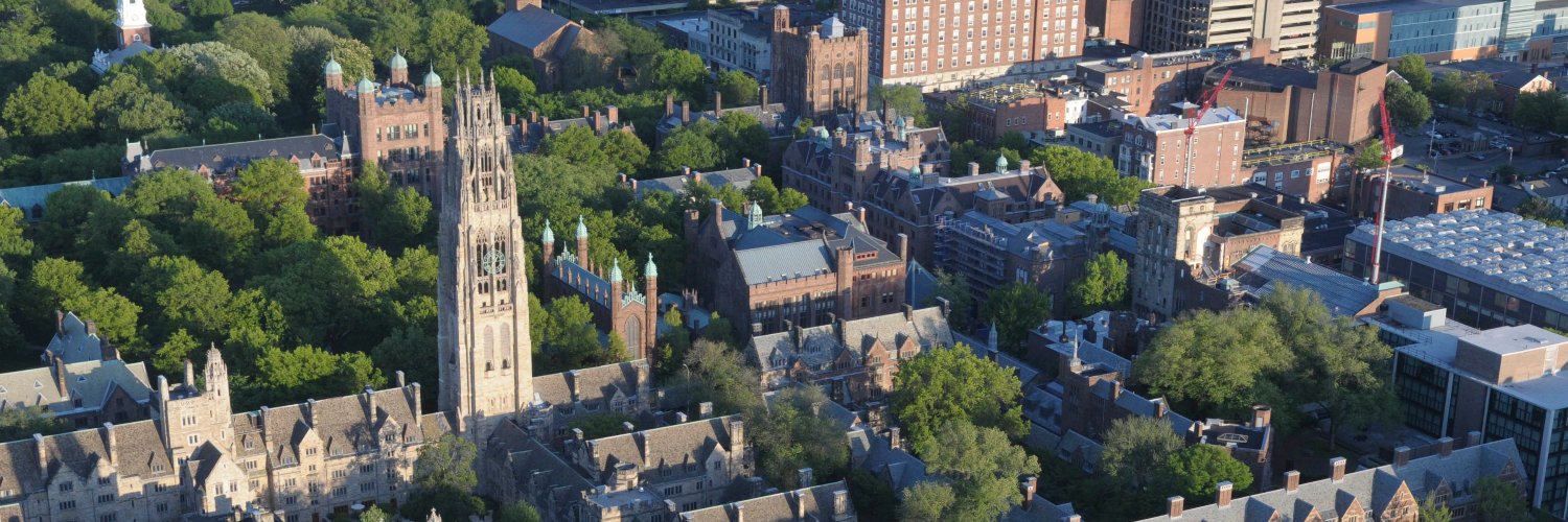 Melissa Scheve banner