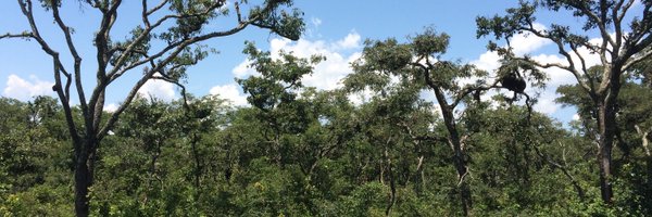 ejcvanleeuwen Profile Banner