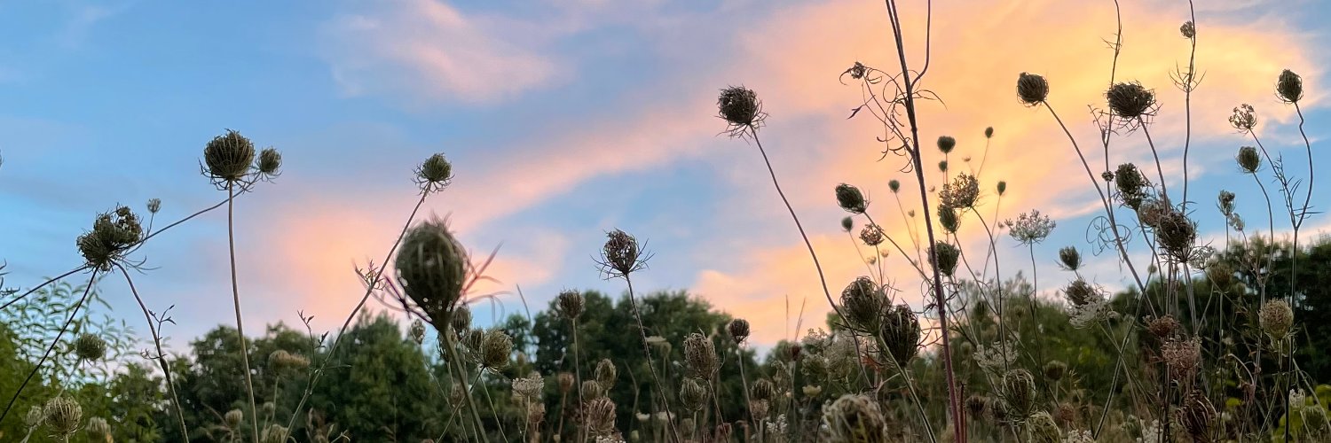 zenabibler's profile banner image