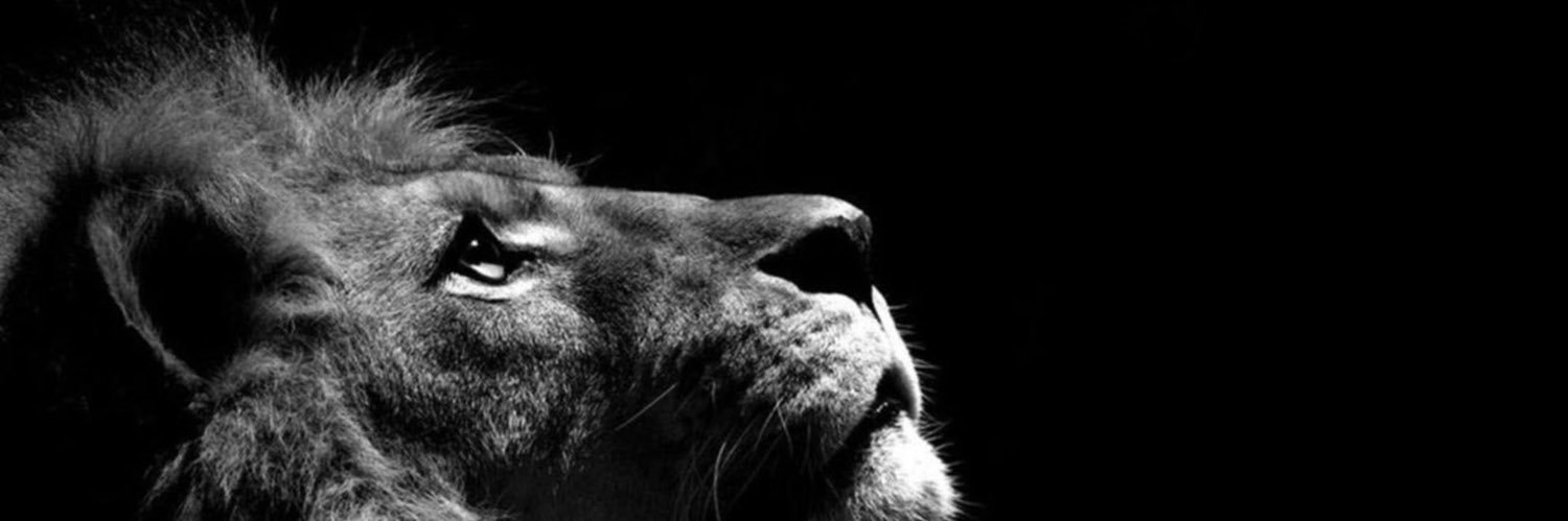 FebriChandraB's profile banner image