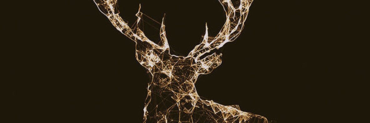 mhoek3's profile banner image