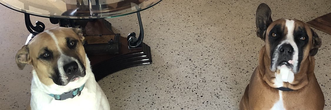 javierrSBR's profile banner image