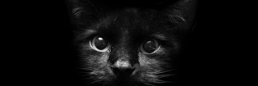 Macit54142394's profile banner image
