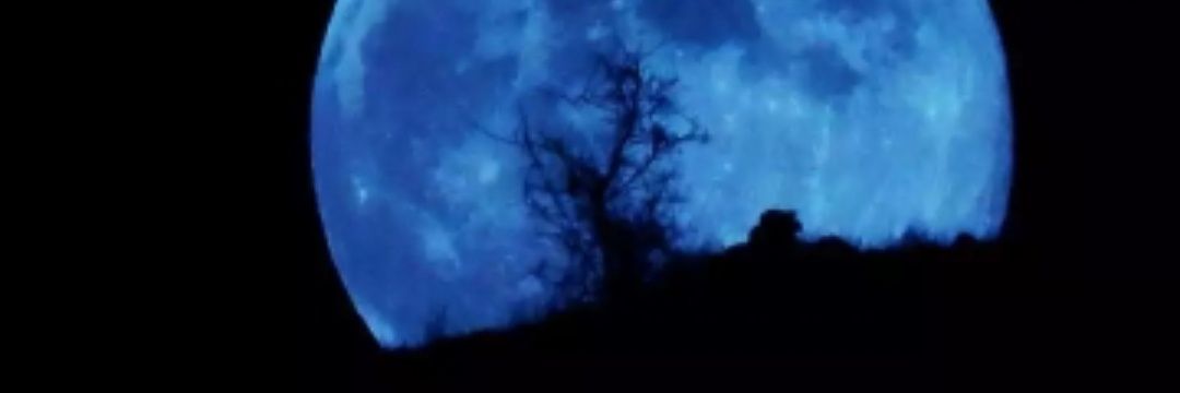 igersonn's profile banner image