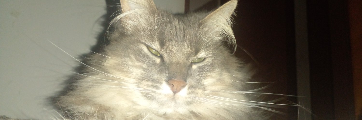 ₳Ʉ₲Ʉ₴₮Ø ☝️🐶 banner