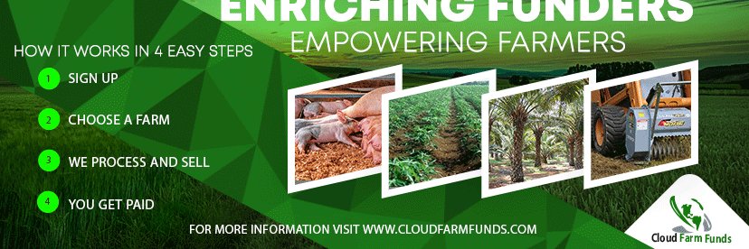 cloudfarmfunds's profile banner image