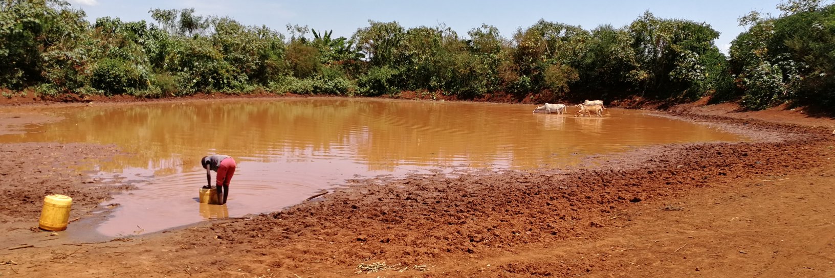 OneHealthWater banner