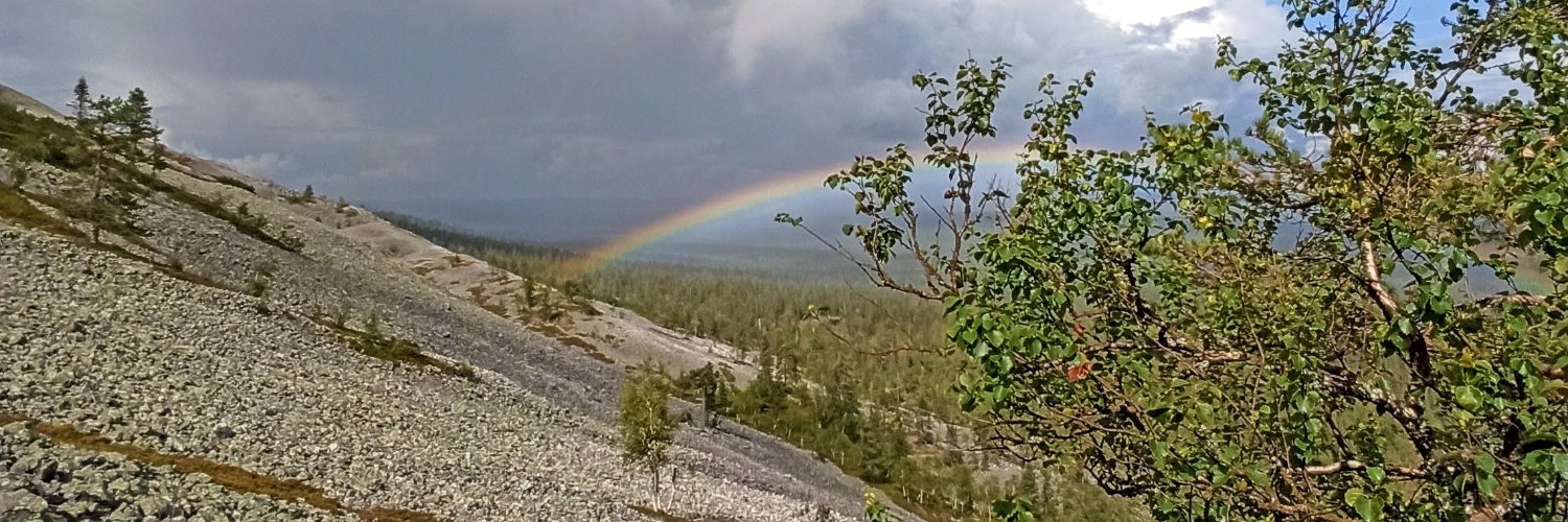 katamertanen's profile banner image