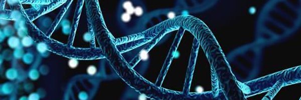 AriannaBasileCC Profile Banner