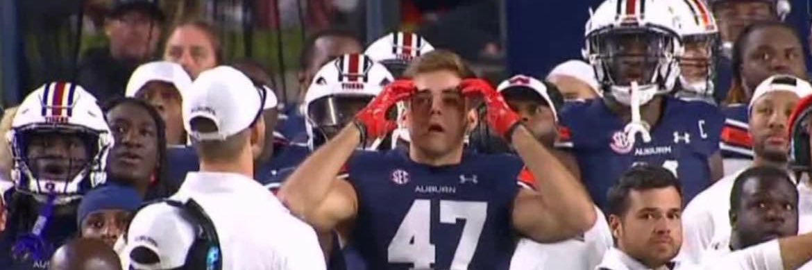 Caroline Costello banner