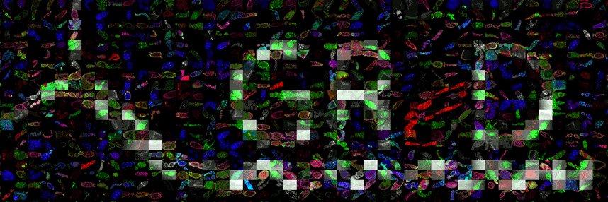 GReD_Clermont's profile banner image