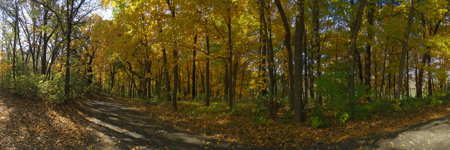 ktroseclapham's profile banner image